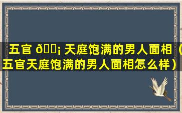 五官 🐡 天庭饱满的男人面相（五官天庭饱满的男人面相怎么样）